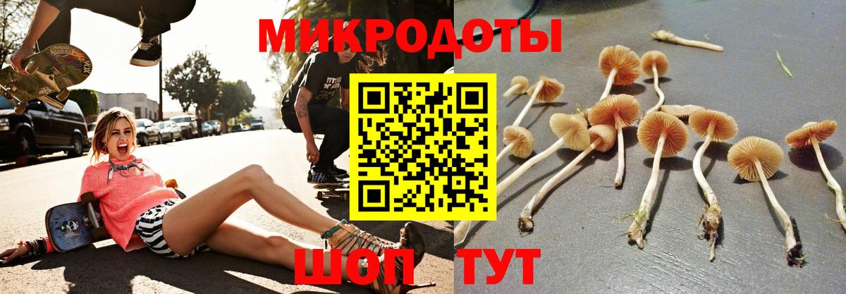 Псилоцибиновые грибы MAGIC MUSHROOMS Ливны