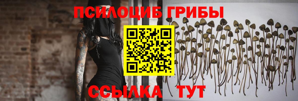 Галлюциногенные грибы MAGIC MUSHROOMS  Вход с VPN  Ливны  Псилоцибиновые грибы MAGIC MUSHROOMS 